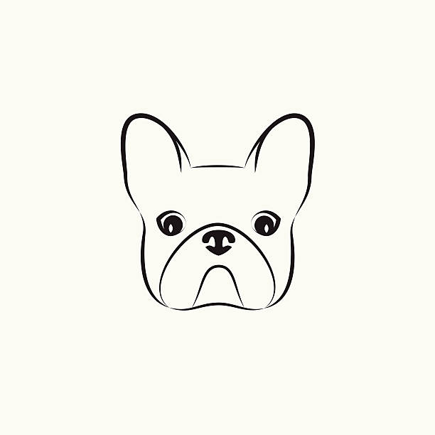 illustrazioni stock, clip art, cartoni animati e icone di tendenza di foto di testa di un cane su sfondo chiaro - orecchio di animale