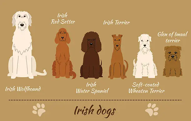 Vector illustration of Irish dogs