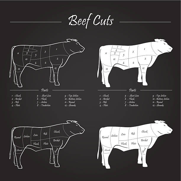 비프 고기류 절단 체계 - butchers shop butcher meat delicatessen stock illustrations