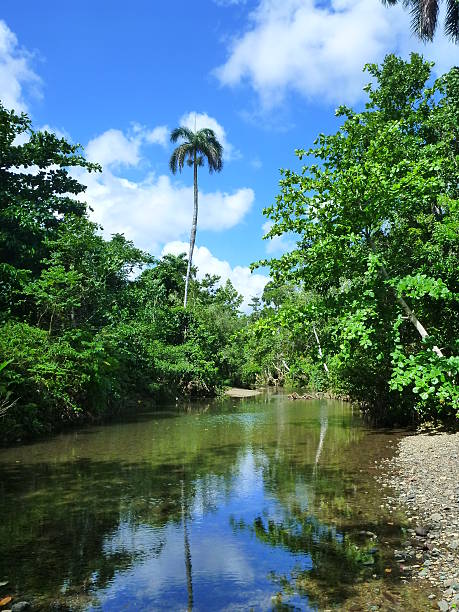 alejandro de humboldt national park, cuba - baracoa photos et images de collection