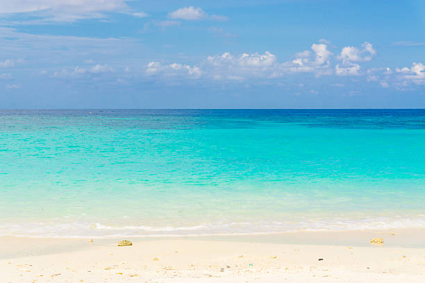 istock Tropical beach with blue Sky and sea. 477800962