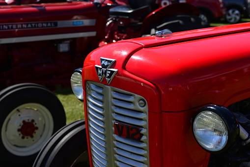 Jersey, U.K. - June 6, 2015: Vintage and even classic Massey Ferguson 135 tractors from the 1930's to 50's at the Jersey car festival event static section.