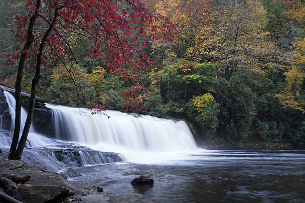 静かなノースカロライナの滝 - dupont state forest ストックフォトと画像