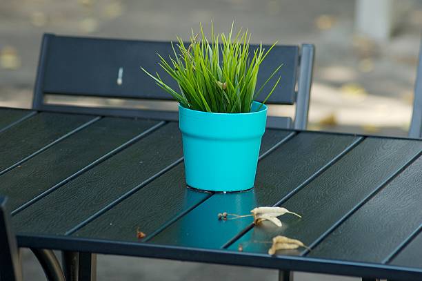 Green grass in flowerpot on park cafe stock photo