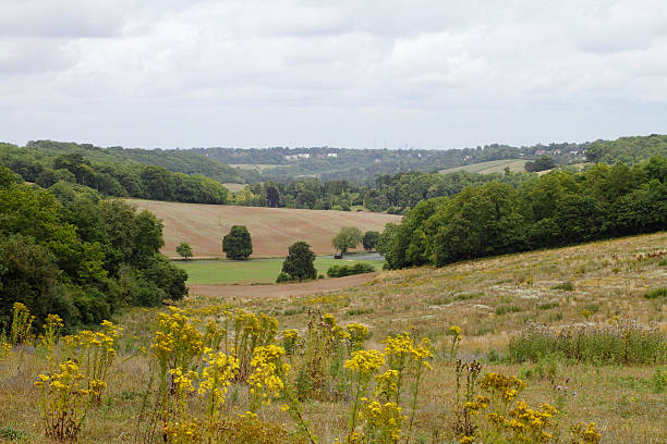istock View from the Surrey Hills towards Godstone 477810691