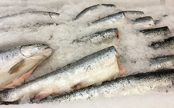 istock Fish on ice at market 477810952