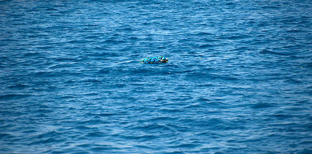 istock memorial wreaths onthe sea 477811872