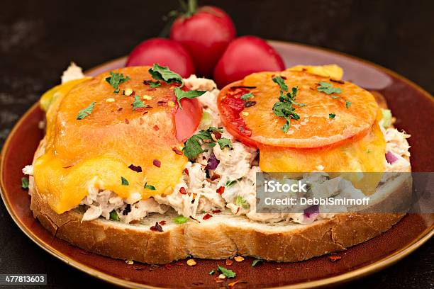 Foto de Sanduíche Quente De Atum Com Queijo e mais fotos de stock de Atum - Peixe - Atum - Peixe, Derreter, Aipo