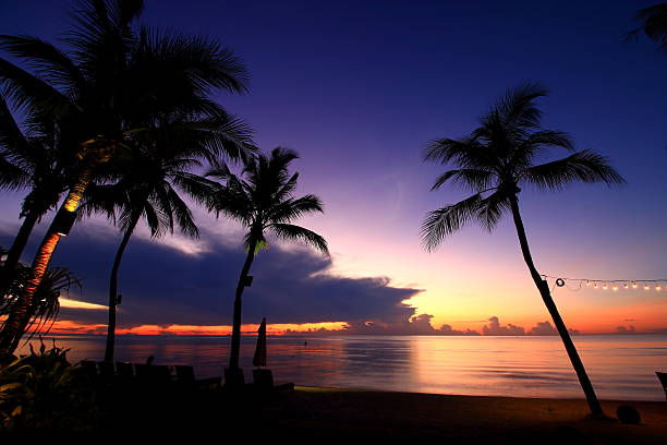 istock Sunrise with coconut palms at beach 477815466