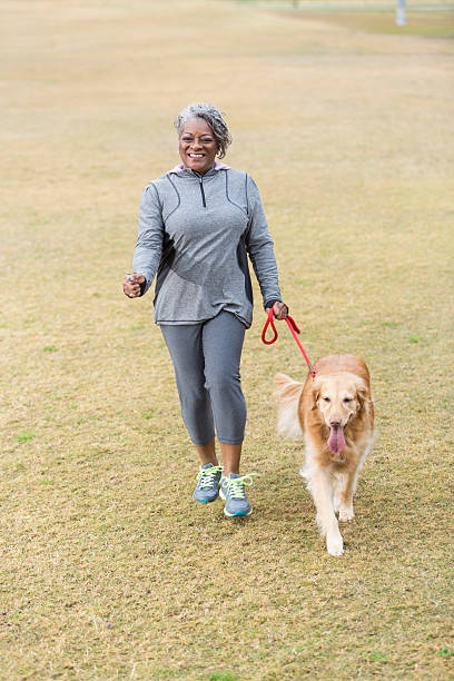 African American woman walking dog African American senior woman (60s) walking her golden retriever. mature adult walking dog stock pictures, royalty-free photos & images