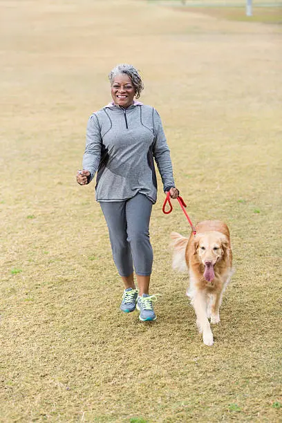 Photo of African American woman walking dog