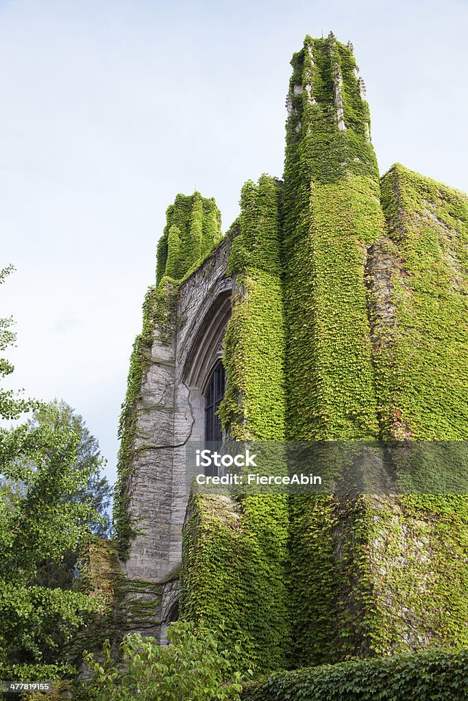 Northwestern University Deering Bibliothek - Lizenzfrei Chicago - Illinois Stock-Foto