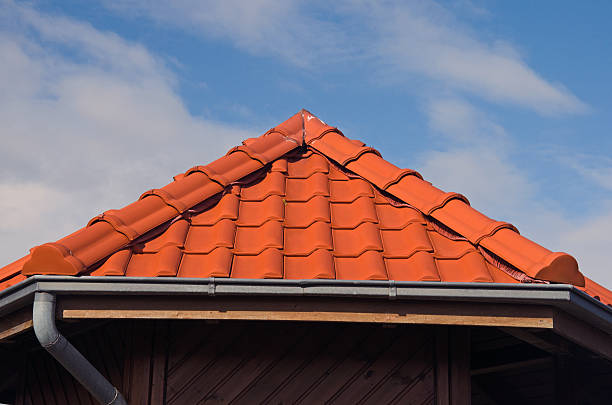 istock Roof in color contrast 477820567
