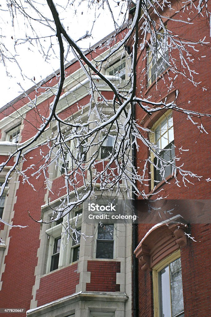 Boston Inverno - Foto stock royalty-free di Acciottolato