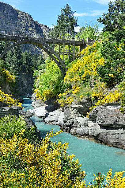 istock The Bridge over the Shotover River 477823542