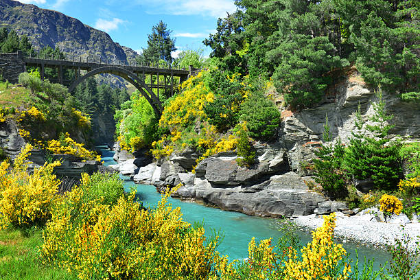istock The Bridge over the Shotover River 477823564