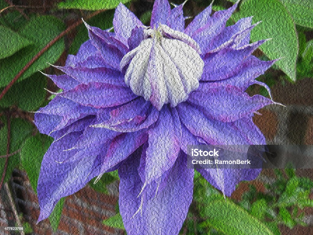 abstract clematis clematis with oil painting effect 2015 Stock Photo