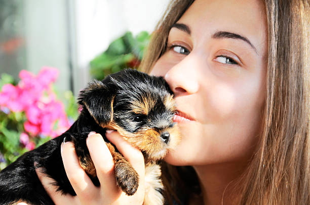 istock Girl with puppy dog 477824296