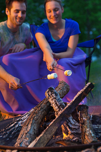 istock Marshmallow Roasting Over Outdoor Flame in Campground Vertical 477824633