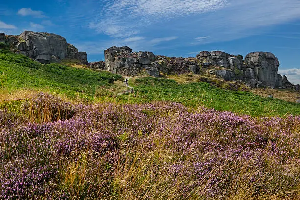 Ilkley Moor is part of Rombalds Moor, the moorland between Ilkley and Keighley in West Yorkshire, England. The moor, which rises to 402 m (1,319 ft) above sea level is famous walking destination.