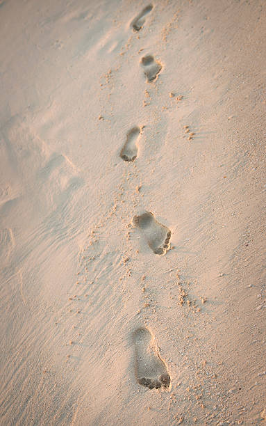 Footprints in the sand stock photo