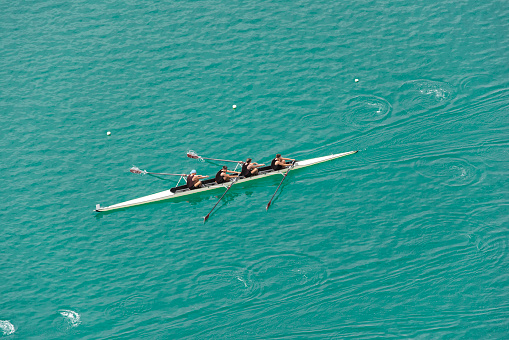 Upper view of four-seated scull rowing team