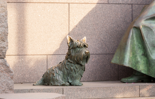 Detail of pet dog by statue in memorial monument to President Franklin Delano Roosevelt in Washington DC