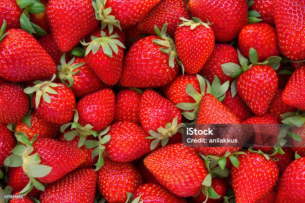 Fresh Strawberries Background Directly above view of fresh red strawberries. All strawberries are clean with green leaves. There are lots of strawberries which are different sizes filling the frame of photograph. Strawberry Stock Photo
