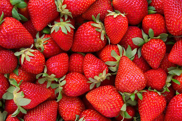 Fresh Strawberries Background Directly above view of fresh red strawberries. All strawberries are clean with green leaves. There are lots of strawberries which are different sizes filling the frame of photograph. berry fruit photos stock pictures, royalty-free photos & images