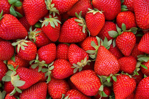 Fresh Strawberries Background Directly above view of fresh red strawberries. All strawberries are clean with green leaves. There are lots of strawberries which are different sizes filling the frame of photograph. red berries stock pictures, royalty-free photos & images