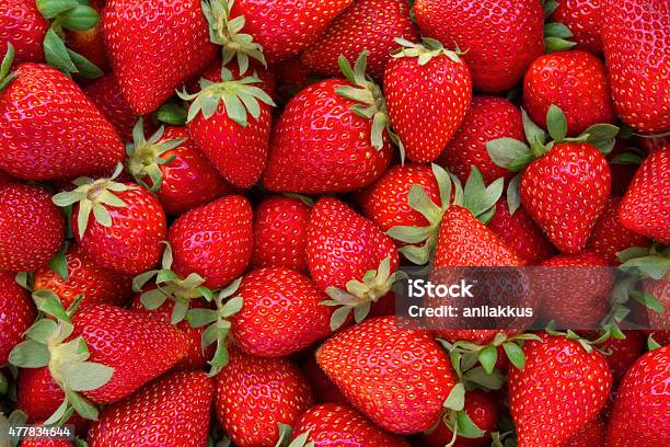 Fresh Strawberries Background Stock Photo - Download Image Now - Strawberry, Fruit, Backgrounds