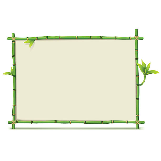 벡터 초록색입니다 대나무 프페임 - tropical climate banner placard bamboo stock illustrations