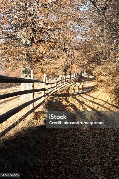 Camino Rural Foto de stock y más banco de imágenes de 2000-2009 - 2000-2009, Aire libre, Amarillo - Color