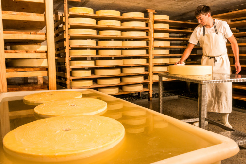 cheesemaker producing cheese on a alpine dairy in the mountains - part 7: keeping the cheese wheels for maturing in the cool cellar, cheese in foreground are swimming in saltwater