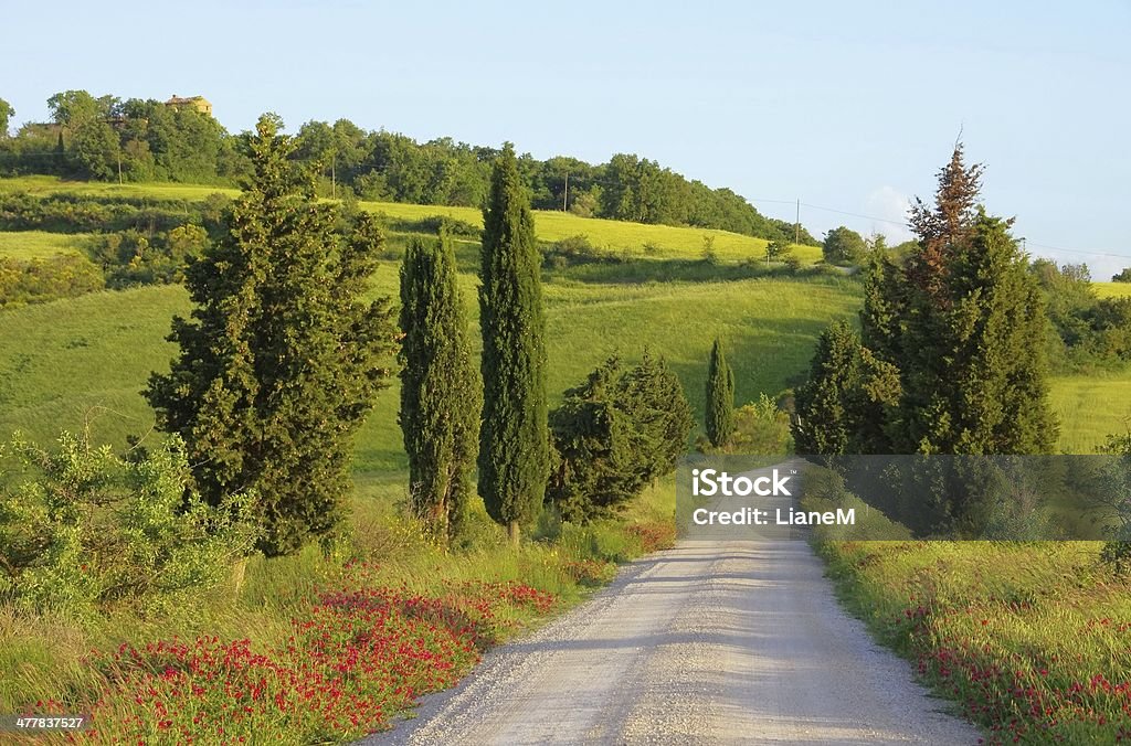 Toscana, com árvores de cipreste - Royalty-free Ao Ar Livre Foto de stock