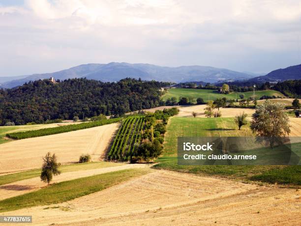 Paesaggio A Mosaico Immagine A Colori - Fotografie stock e altre immagini di Ambientazione esterna - Ambientazione esterna, Azienda vinicola, Composizione orizzontale