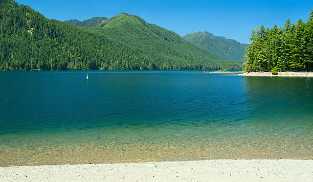 lago di cushman spiaggia in estate - noontime foto e immagini stock