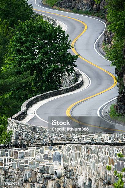 Ninhos - Fotografias de stock e mais imagens de Estrada Sinuosa - Estrada Sinuosa, Longo, Estado de Nova Iorque