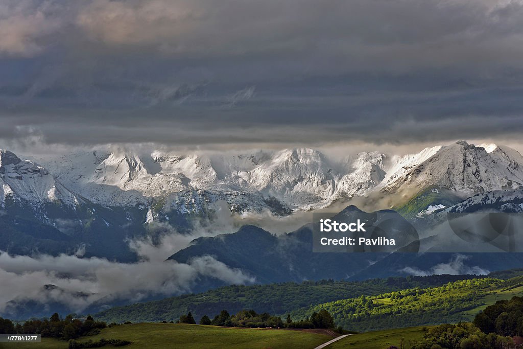 Julian Alpi da Banjsice in Slovenia Europa - Foto stock royalty-free di Albero