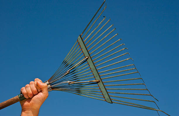 istock Garden Rake in Hand 477841675