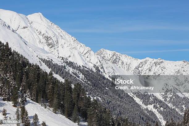 Paisagem De Inverno Nos Alpes Lüsens Sellraintal Tirol Áustria - Fotografias de stock e mais imagens de Ajardinado