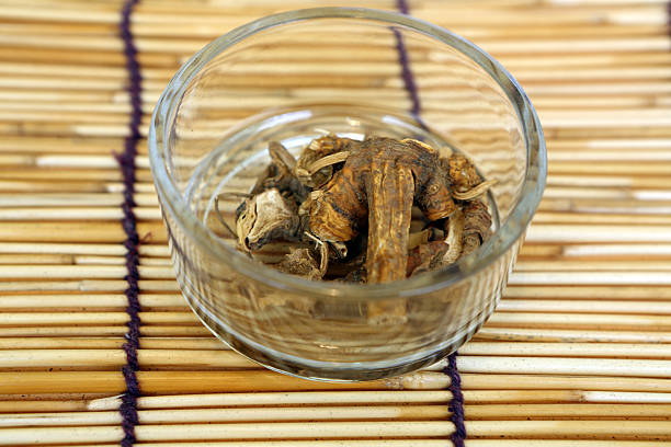 Chinese Herbal Medicine - Belamcanda Chinensis Chinese Herbal Medicine - Belamcanda Chinensis belamcanda chinensis stock pictures, royalty-free photos & images