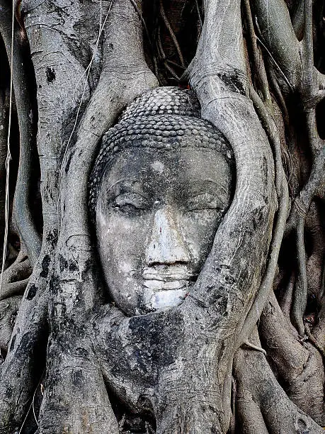 Photo of Buddha's head is embedded in tree at Ayutthaya, Thailand