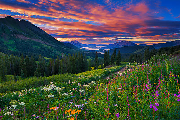 washington gulch estrada - montanhas rochosas imagens e fotografias de stock