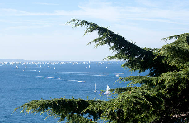 istock Barcolana 2010, The Trieste regatta 477851989