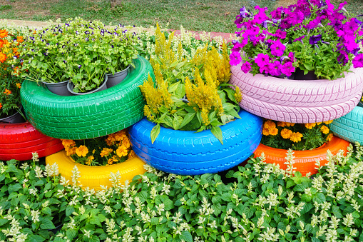 HoChiMinh, Vietnam – February 17th 2015: Colorful flowers and tire pots in Tet 2015 festival , on NguyenHue Street, HoChiMinh, Vietnam