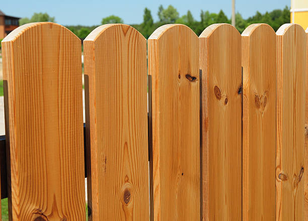 istock Beautiful wood garden fence with copy space. 477852814