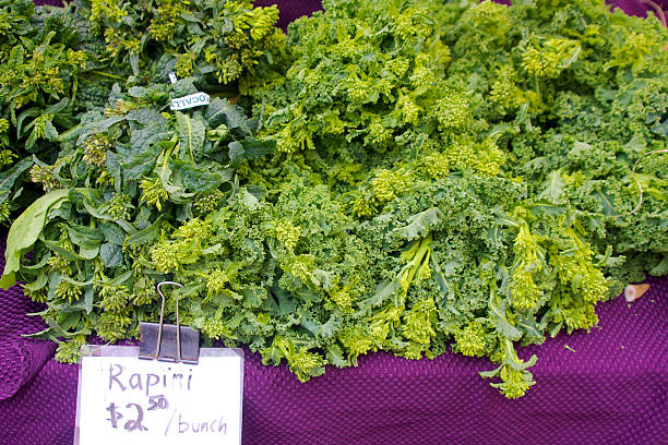 rapini - broccoli raab imagens e fotografias de stock