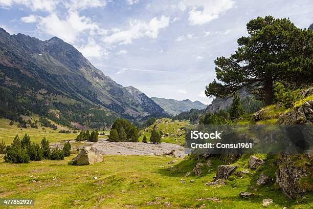 Benasque Valley Foto de stock y más banco de imágenes de Comunidad Autónoma de Aragón - Comunidad Autónoma de Aragón, Paisaje escénico, Paisaje no urbano