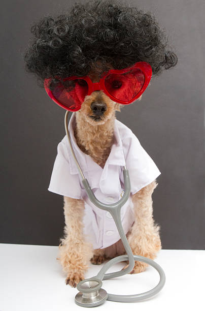 istock The Lovvvve Doctor 477856253